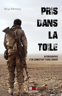 Capture D Ecran 2025 01 16 152944 Big