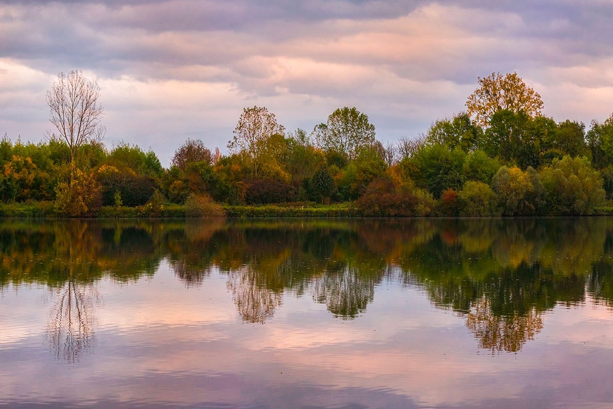 L'île du rohrschollen : un écrin de verdure au cœur de Strasbourg