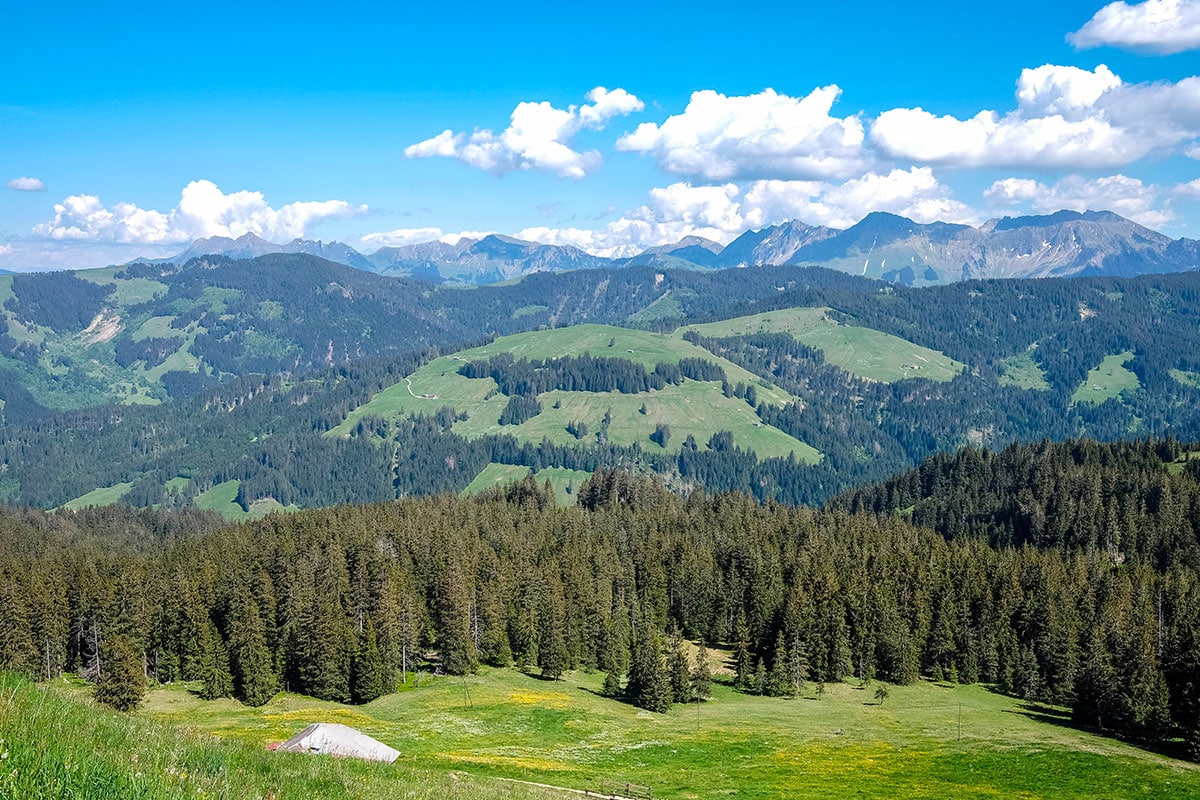 Berre-les-Alpes : un joyau médiéval entre mer et montagne