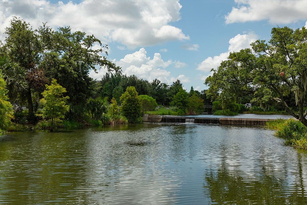 La forêt d'Orléans : un trésor naturel et historique à l'honneur lors d'un colloque
