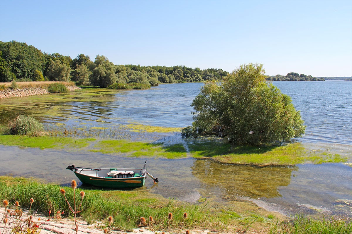 Le lac du Der : un géant artificiel au cœur de la Champagne