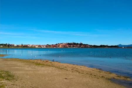 Découvrez le lac de Villeneuve-de-la-Raho : un joyau caché des Pyrénées-Orientales