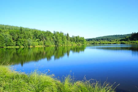 Échappez à la chaleur de Paris : découvrez les lacs du Morvan