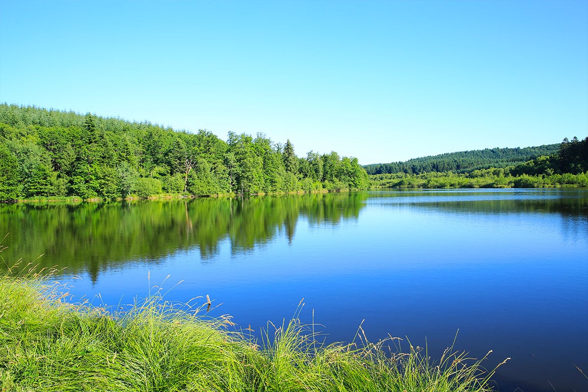 Échappez à la chaleur de Paris : découvrez les lacs du Morvan