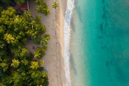 La plage des Salines, un petit coin de paradis en Martinique