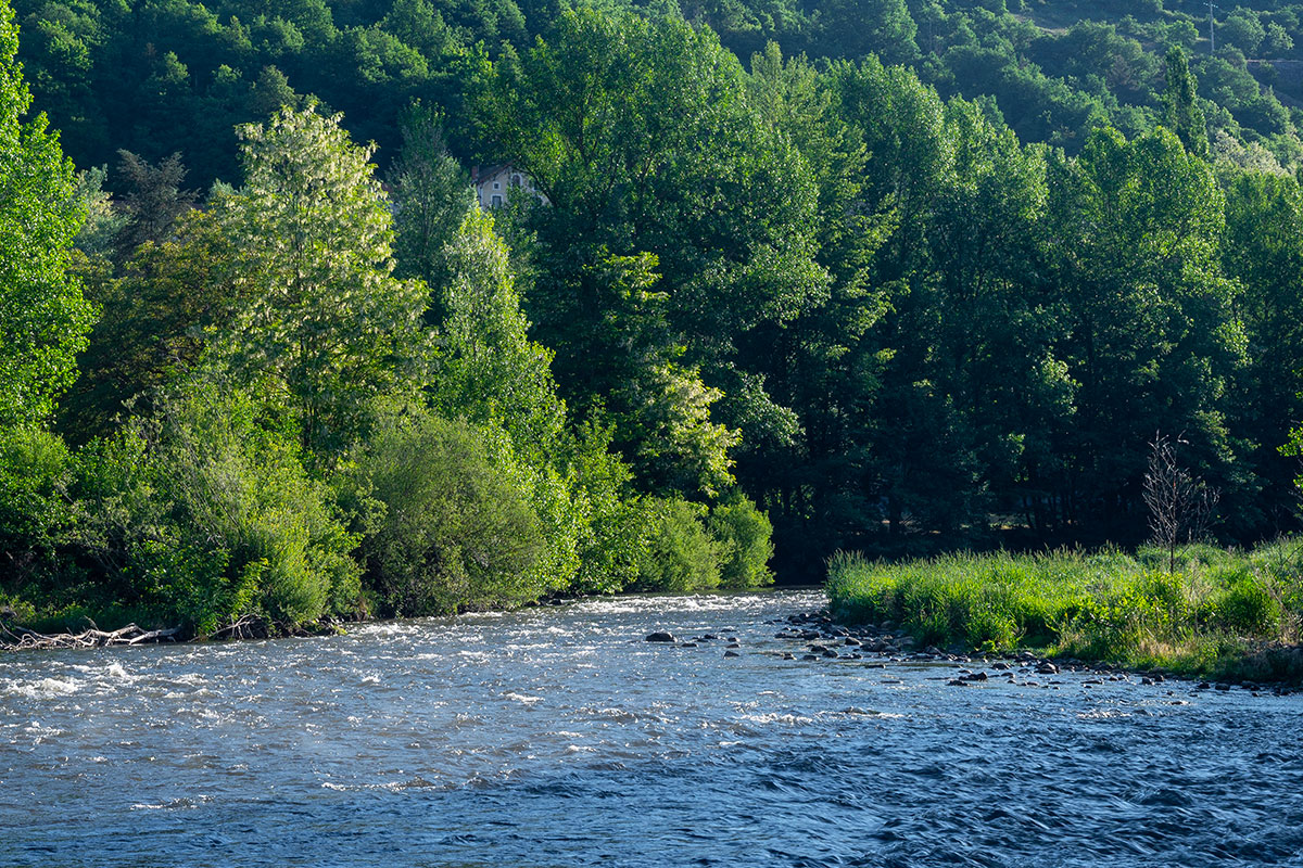 La rivière Allier : un havre naturel à préserver