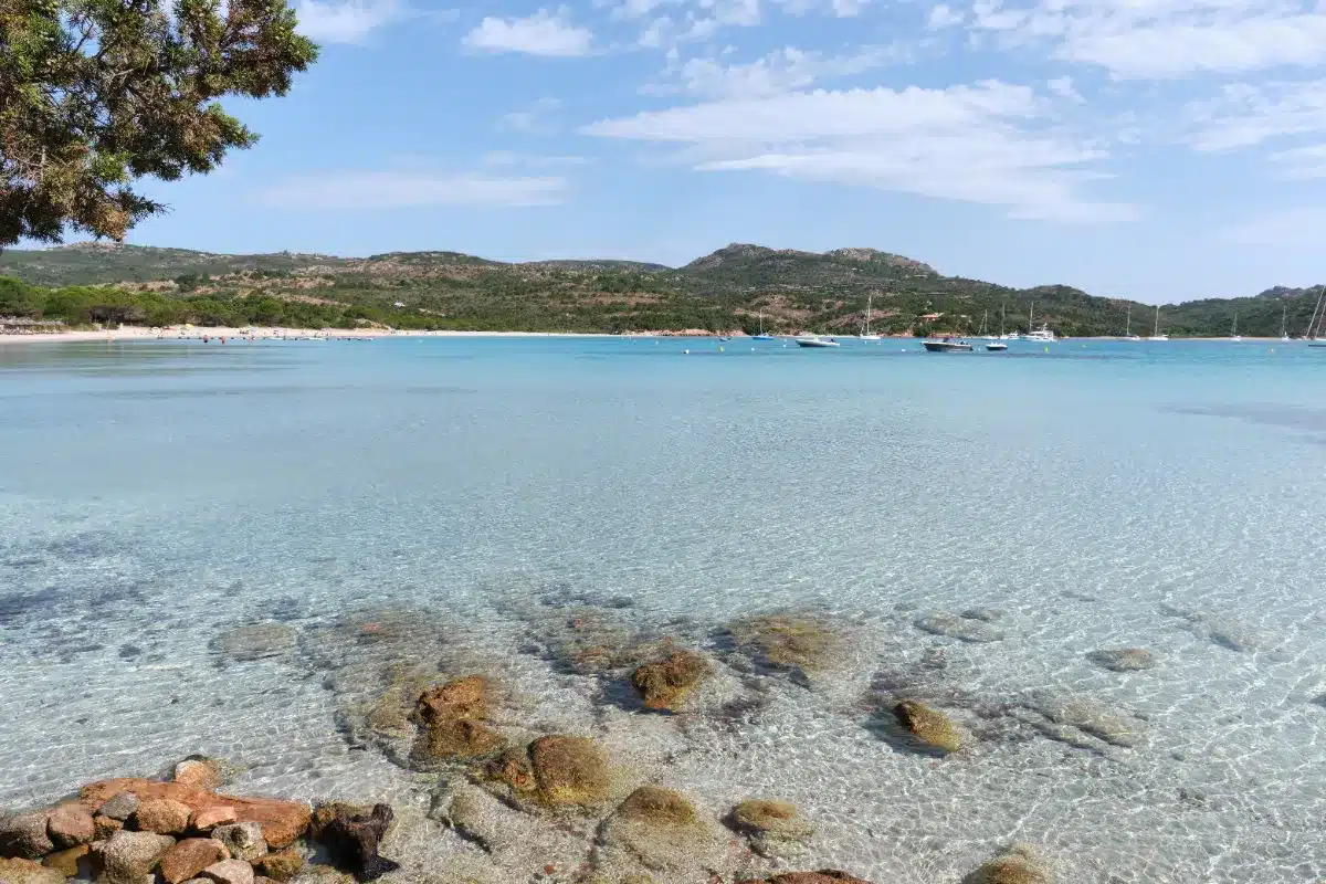 La Slovénie et la Lituanie : les champions des eaux pures d’Europe
