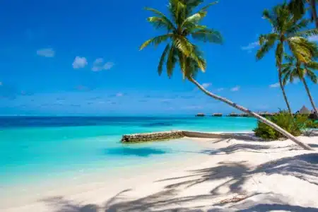 La Guadeloupe en feu cet hiver : record de visiteurs en décembre 2023