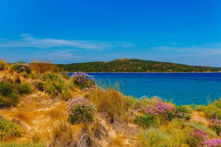Porto-Pollo : Un petit coin de paradis pour une retraite au soleil