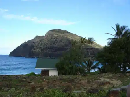 Découvrez Saba : l'île volcanique secrète des Antilles