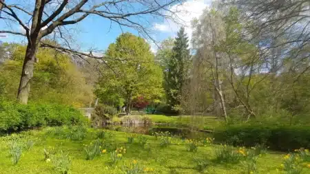 Découvrez les pépites vertes de Toulouse pour vos balades d’automne