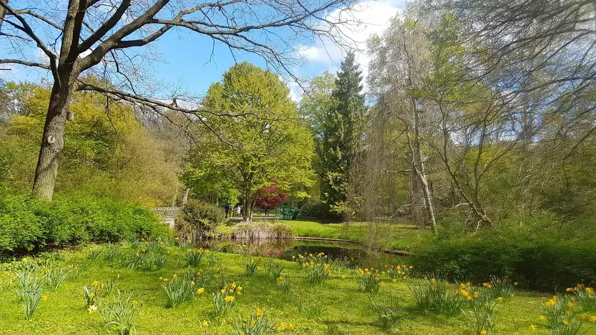Découvrez les pépites vertes de Toulouse pour vos balades d’automne