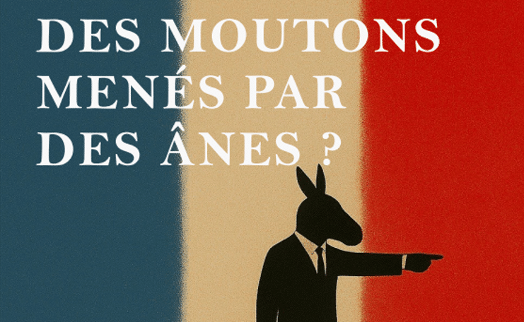 Capture D'écran 2025 10 29 115036