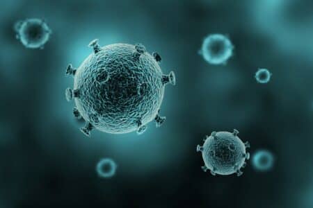 Progation du Nipah en Inde : l’évaluation prudente mais rassurante de l’OMS