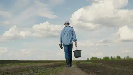 Farmer,uses,shovel,and,bucket,to,grow,crop,,vegetable,field.