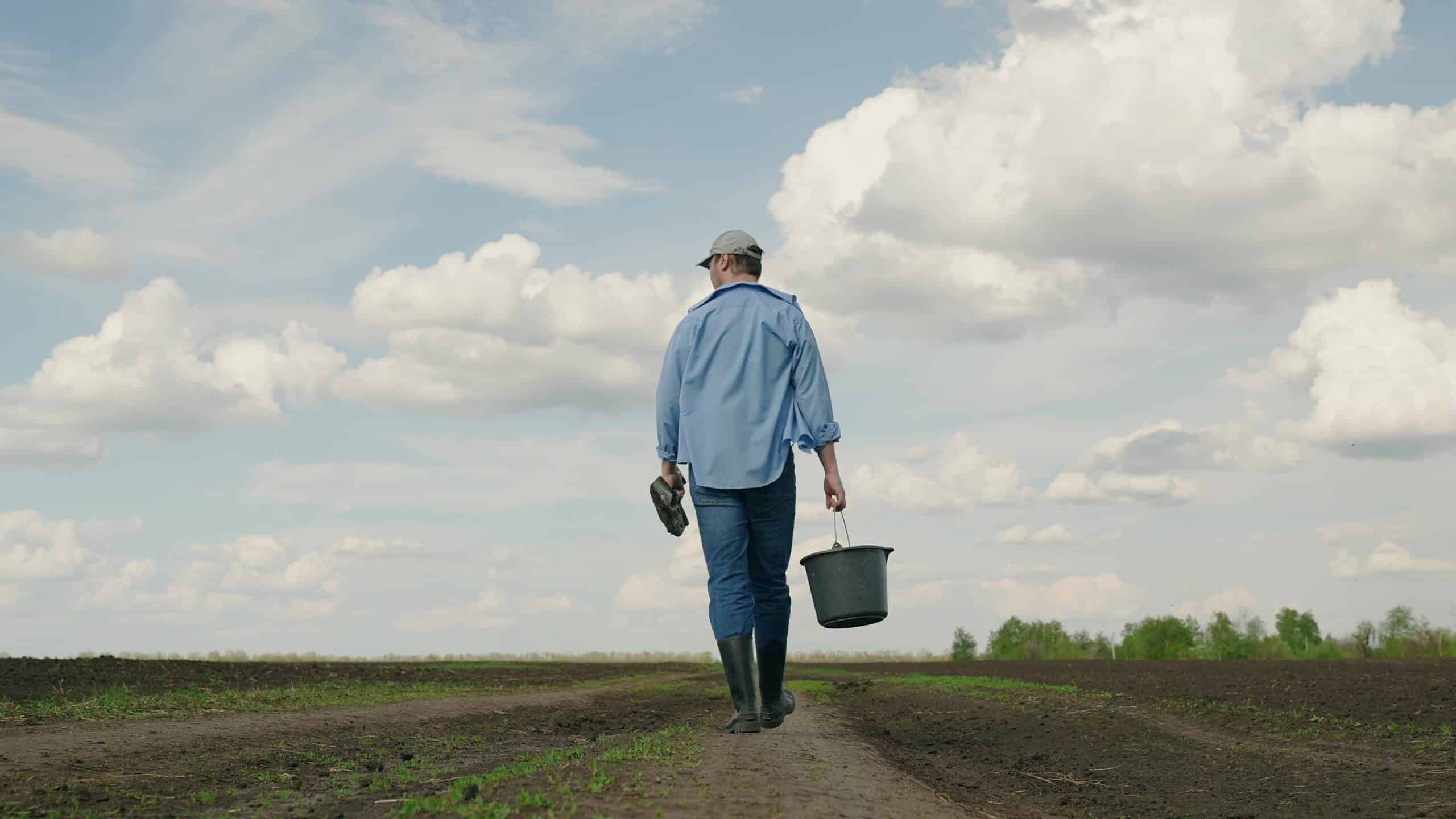 Farmer,uses,shovel,and,bucket,to,grow,crop,,vegetable,field.