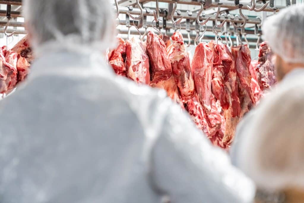 Butchers,processing,hanging,beef,carcasses,in,meat,processing,plant