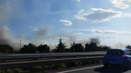 Feu De Forêt à Loupian Sept 2019 37