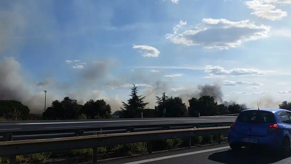 Feu De Forêt à Loupian Sept 2019 37