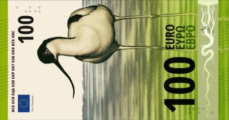 billets-en-euros-qui-decide-vraiment-les-non-dits-dune-consultation-europeenne