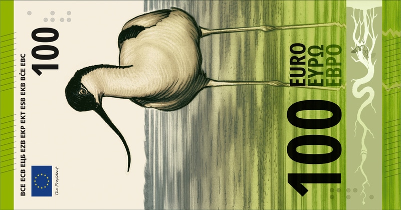 billets-en-euros-qui-decide-vraiment-les-non-dits-dune-consultation-europeenne